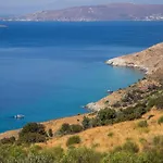 Eleni's *